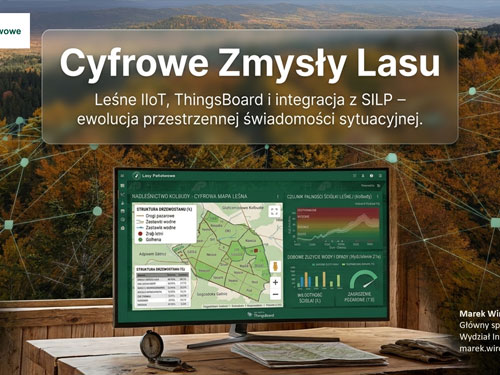 cyfrowe-zmysły-lasu
